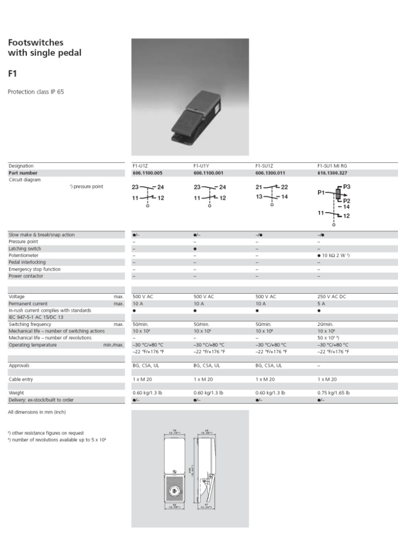bernstein foot switches